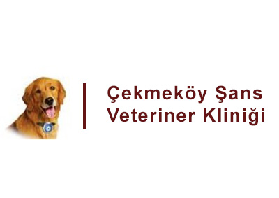 Çekmeköy Veterinary Clinic